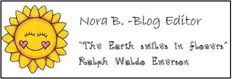 blog editor